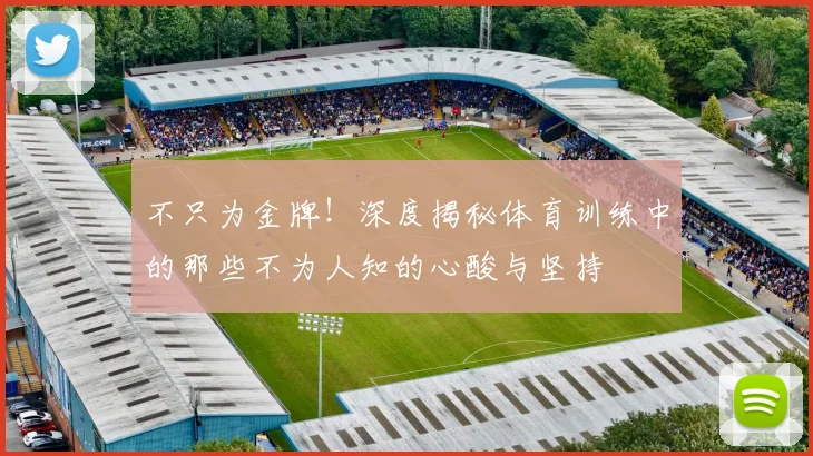 不只为金牌！深度揭秘体育训练中的那些不为人知的心酸与坚持